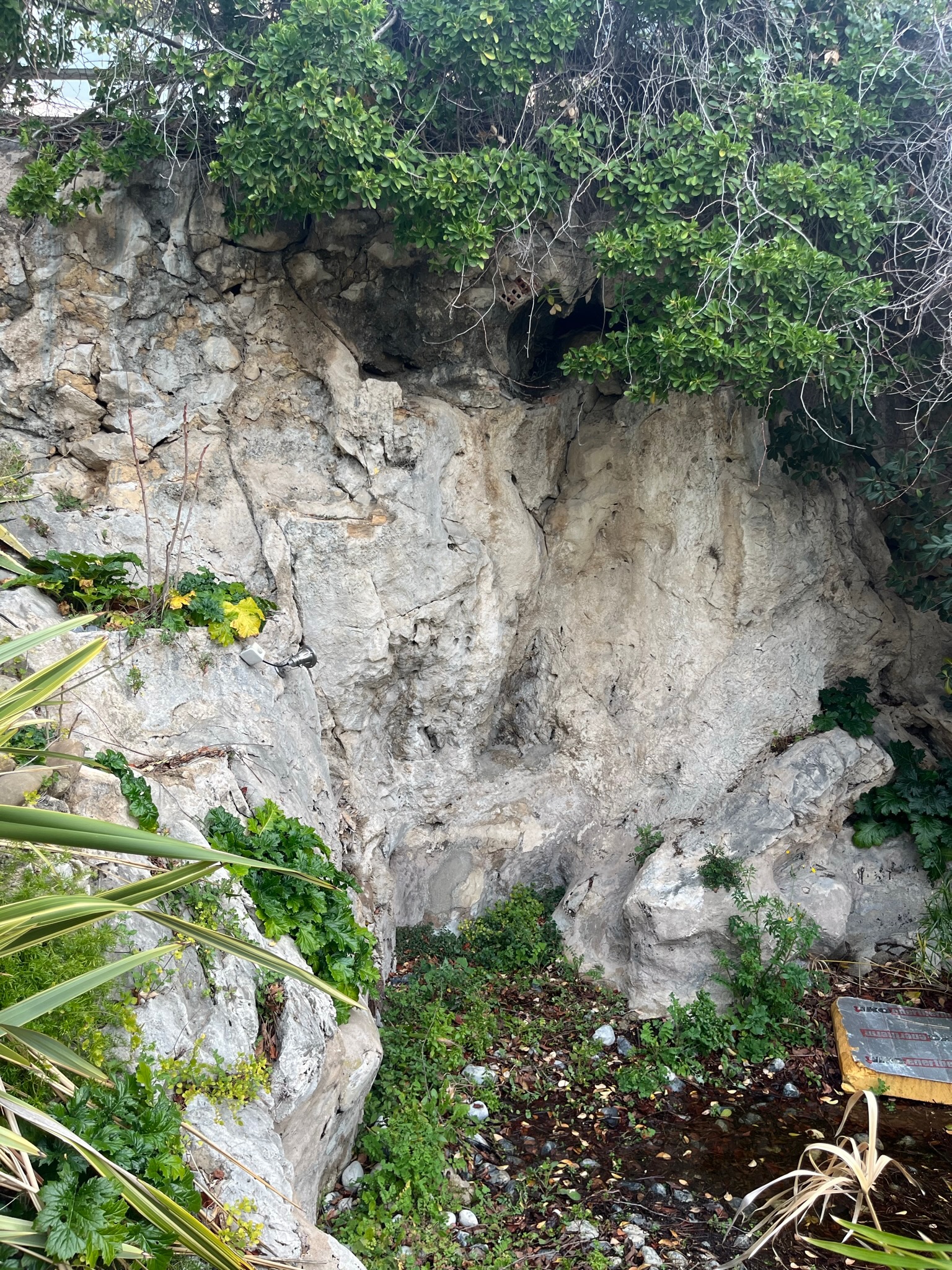 Chantier Roucas - Photo 21